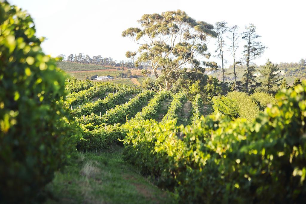 Brenaissance Wine & Stud Estate Hotell Stellenbosch Eksteriør bilde