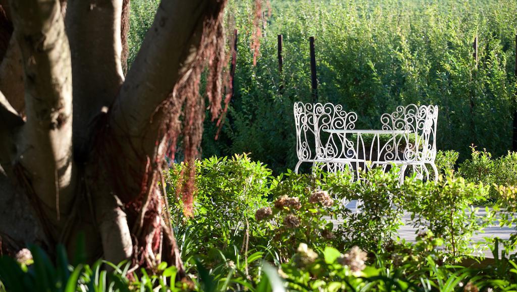 Brenaissance Wine & Stud Estate Hotell Stellenbosch Eksteriør bilde