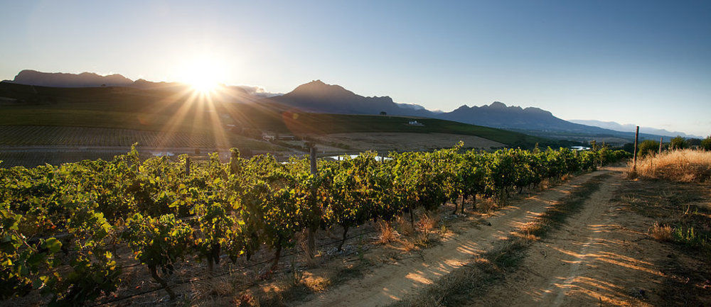 Brenaissance Wine & Stud Estate Hotell Stellenbosch Eksteriør bilde