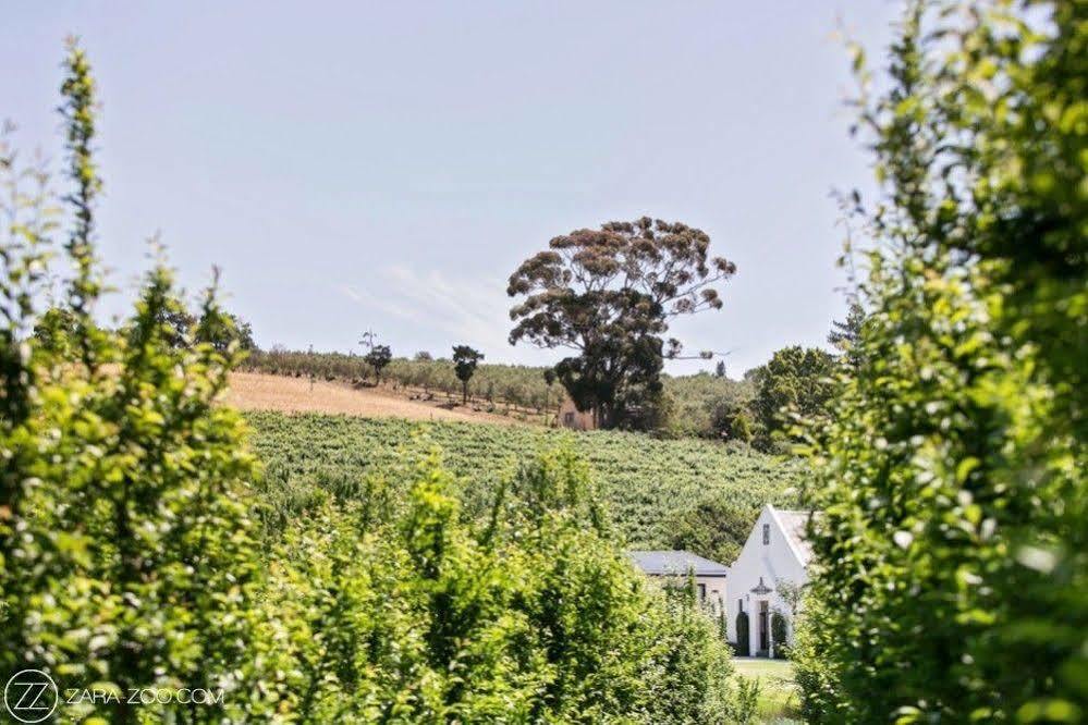 Brenaissance Wine & Stud Estate Hotell Stellenbosch Eksteriør bilde