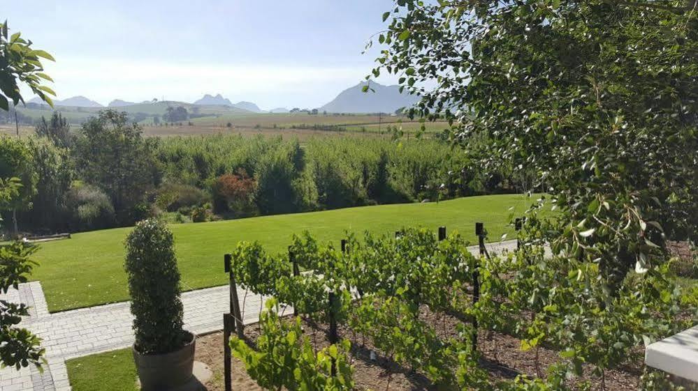 Brenaissance Wine & Stud Estate Hotell Stellenbosch Eksteriør bilde